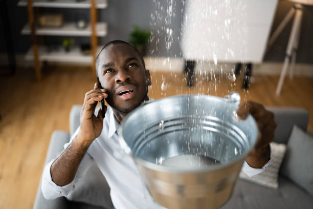 Best Flood damage cleanup  in Corte Madera, CA