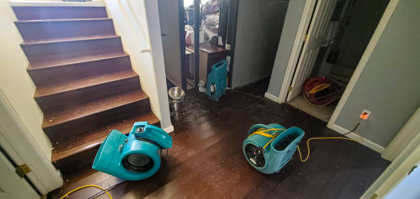 Professional Water damage restoration in Corte Madera, CA