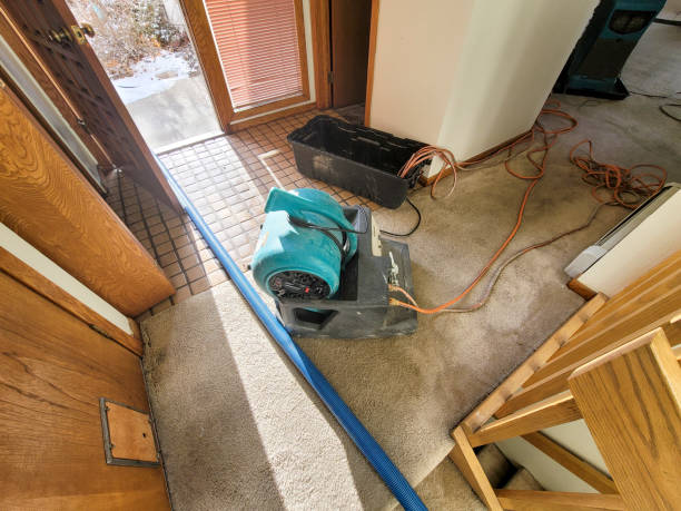 Best Residential water damage restoration  in Corte Madera, CA