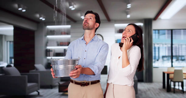 Best Water damage restoration mold remediation  in Corte Madera, CA