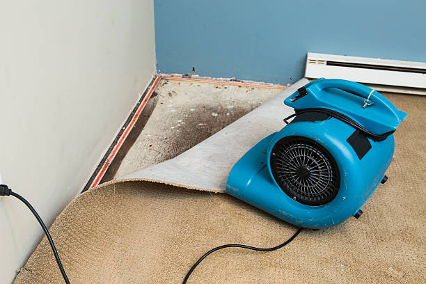 Best Emergency water damage restoration  in Corte Madera, CA